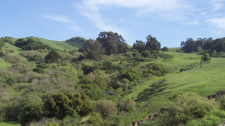 Clark Road: El Sobrante hills