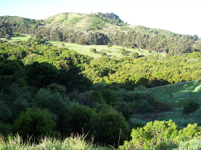 Click to see Forest Green housing siteL
